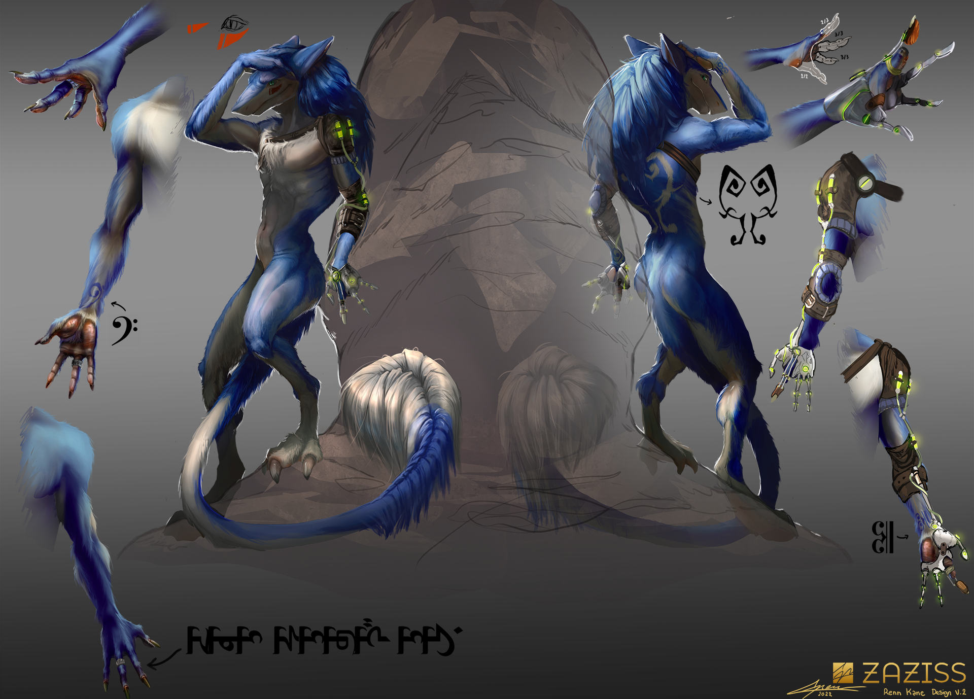 A pose sheet of Renn. The same pose is shown from the front and behind. They're leaning against a rock, right hand raised on their head, left hand leaning against the rock. They're blue and white with motifs in the fur (most notably violin sound holes on their back), and a red triangular marking under the left eye. They possess a semi-mechanical left hand: the fingers are missing, having been replaced by steel fingers (the index finger's last phalange is made out of wood). They're held to the hand by a sort of steel glove, connected to the arm with a plate screwed in the bone, Leather straps wrap around the shoulder and knee, holding vials full of a glowing green liquid. Small tubes go out of these vials, connecting to the glove as if they're a fuel of some sort.